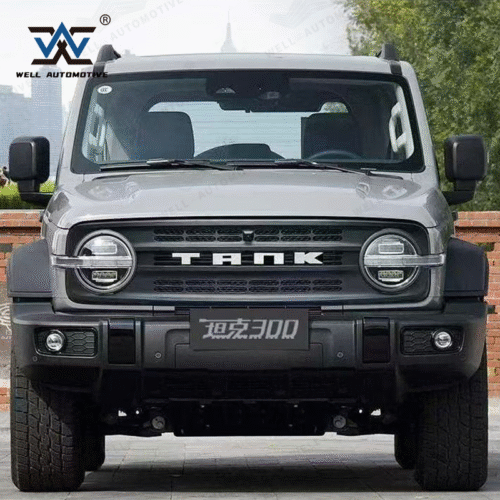 Tank 300 Border Edition Grill ABS Front Bumper Grille Body Kits Front Bumper Grille for tank 300 Accessories 5 3